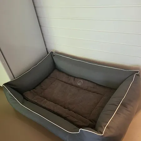 Apartamento Eifelraum-relaxwohnung