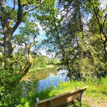 Eifelraum-relaxwohnung Mit Sauna *