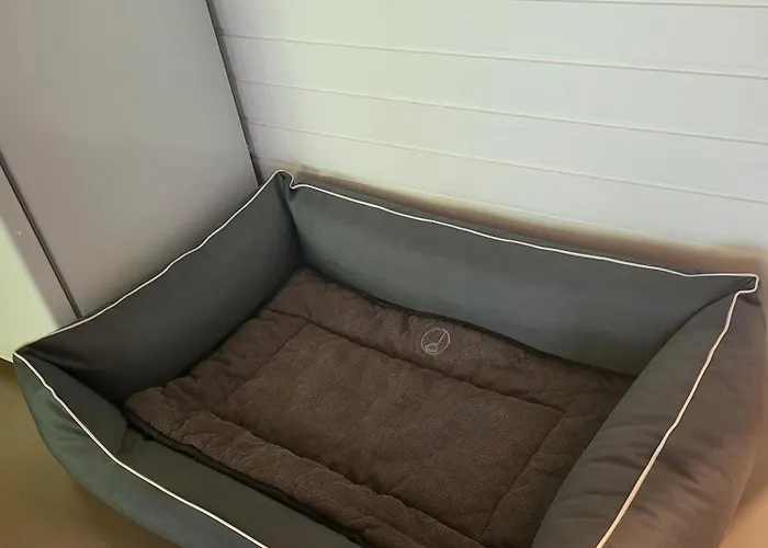 아파트 Eifelraum-relaxwohnung Mit Sauna