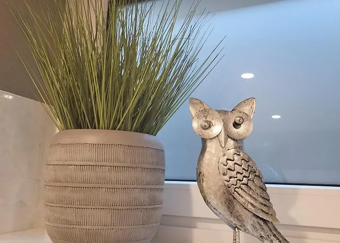 Eifelraum-relaxwohnung Mit Sauna 아파트 *