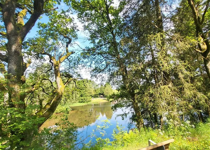 Eifelraum-relaxwohnung Mit Sauna
