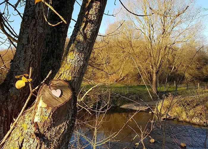 Eifelraum-relaxwohnung Mit Sauna Oberbettingen