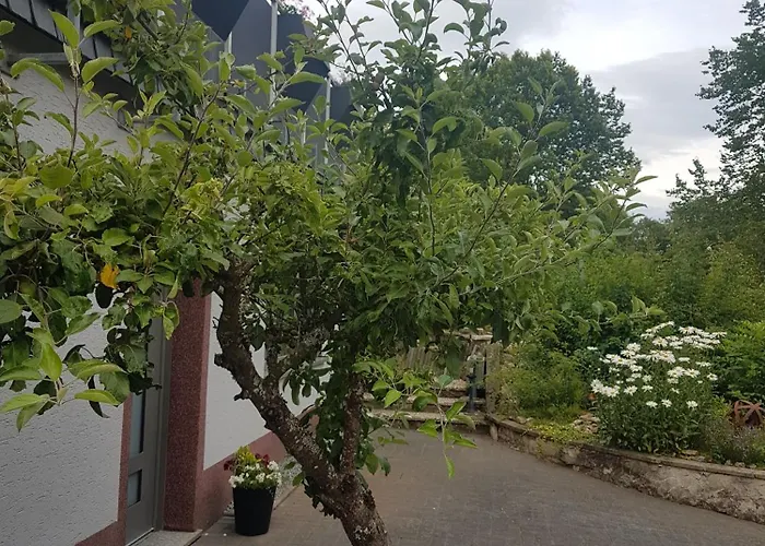 Eifelraum-relaxwohnung Mit Sauna *